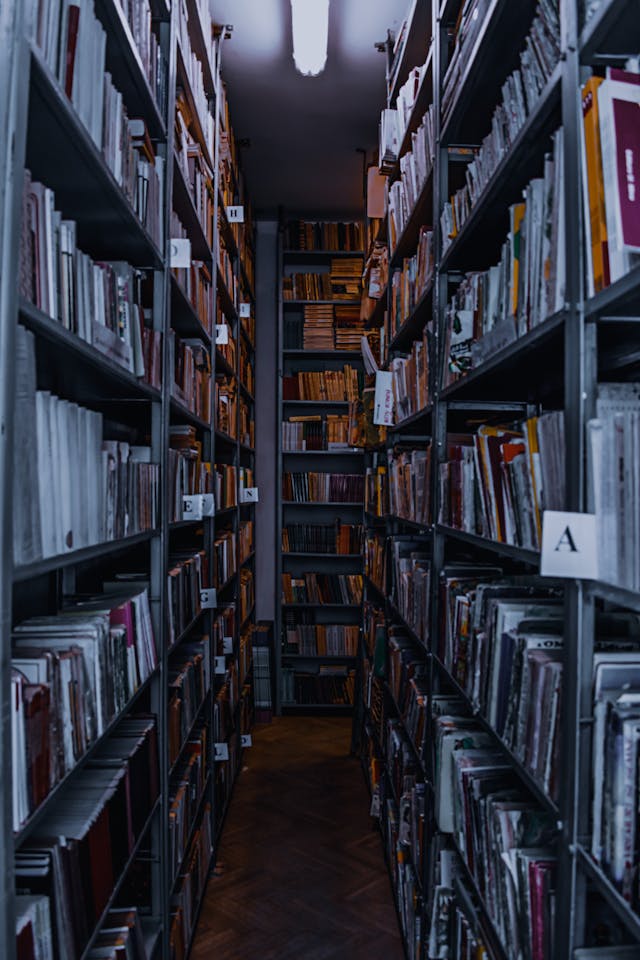 Regały archiwalne przewodnik